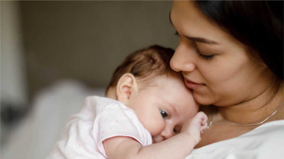 Parenting services directory